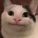 RorouniKensh1n's Avatar'