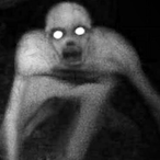 SiphonalSpark's Avatar'