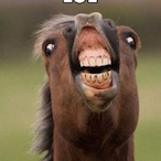 BadBurrito2011's Avatar'