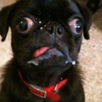 ChampionMeqx's Avatar