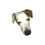 skvbx.'s Avatar'