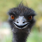 The_Djentleman_'s Avatar