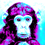 CHjMP's Avatar'