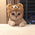 epstejnfiles's Avatar'