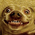 DanBrookes02's Avatar'