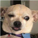 Igao Ramos's Avatar'