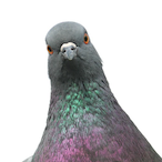 ClarkIrving's Avatar'