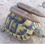 SoStealthyPanda's Avatar'