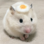 EggHamster's Avatar'