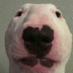 Puncake_1008's Avatar'