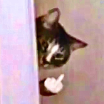 Kittyy-Powerr's Avatar'