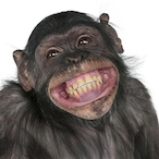 OOOOOOOOOOO--H's Avatar'
