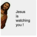 NoGrace_yolo's Avatar'