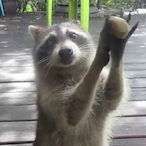 danie7_smith's Avatar'