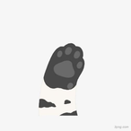 DSK_CATCAT's Avatar'