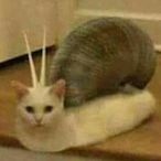 GimmieSloppyTop's Avatar'