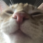 big_ronald's Avatar'