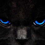Branddock's Avatar'