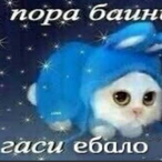 ShevPovar_Zzz's Avatar'