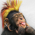 Monkey_Vision's Avatar