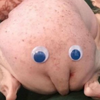 Le_Chimichanga's Avatar'