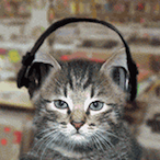 l_warbird_l's Avatar