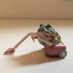 Toad.-.'s Avatar'