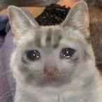 TheLipzy__'s Avatar'