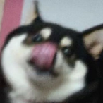 Hydrated_Wha1e's Avatar'