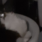 lyoooxUdiman99's Avatar'