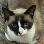 arnobiu's Avatar'