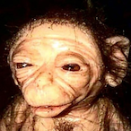 Sek.tant's Avatar'