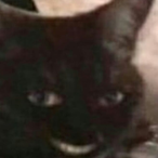 Doggo.GB-_'s Avatar'