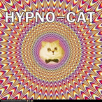 bradyisfatash's Avatar'