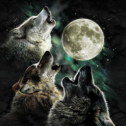 R6Tracker - APG_The_Wolf - Rainbow Six Siege Player Stats