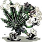 BooLong.TMS's Avatar'