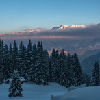 masterpro007xd's Avatar'