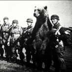 Corporal.Wojtek's Avatar'