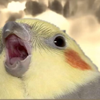 xAmaxmy's Avatar'