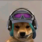razzzyn's Avatar'