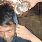 Napper7726's Avatar'