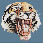 CR0SSxBONES's Avatar'