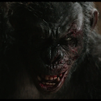 second kiraa's Avatar'