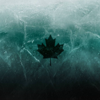 TheJanitor42's Avatar'