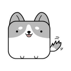 wozhihuijia.'s Avatar'