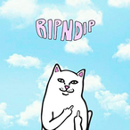 canneton-moka's Avatar