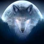 xXTheWolfManXx's Avatar'