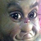 Loyal_Doge's Avatar'