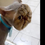 ethanwheatthin's Avatar'