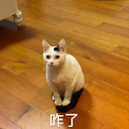 sivilianss's Avatar'